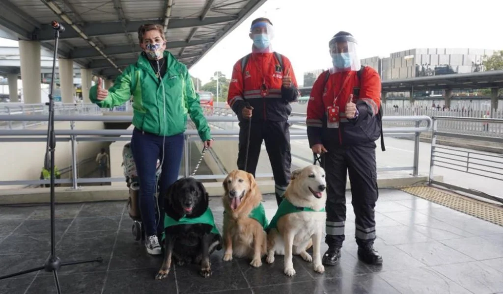 Lo que debes saber para llevar mascotas en Transmilenio