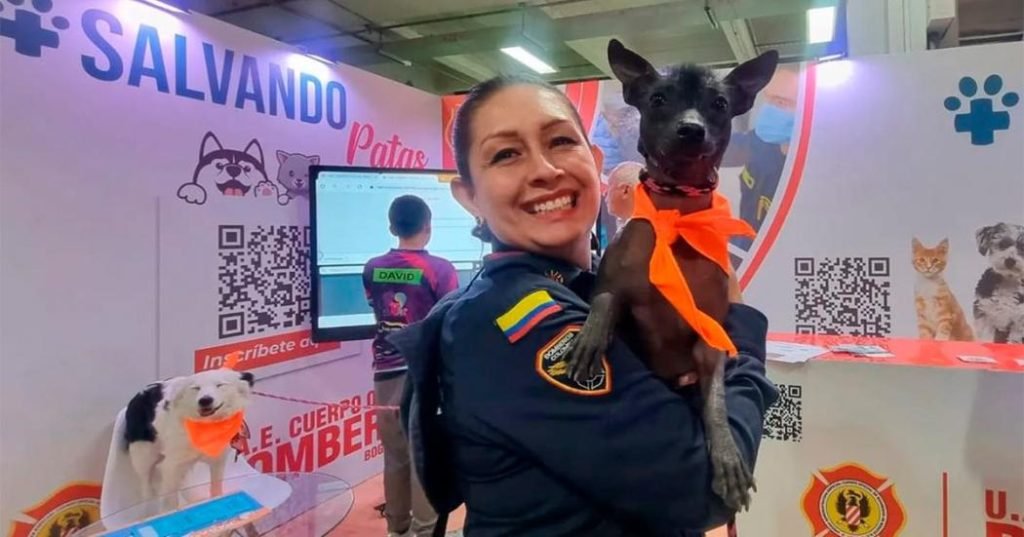 Salvando Patas, la campaña para proteger a las mascotas en emergencia.