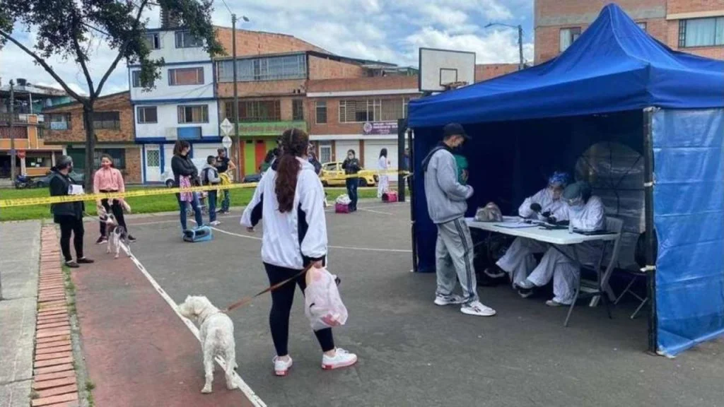 Esterilización gratuita para perros y gatos en Bogotá