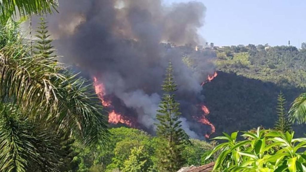 Incendios Forestales: Una Amenaza Ambiental que Desafía el Derecho Penal